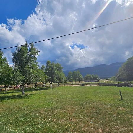 Villa House Under The Velebit Mountain à Medak Extérieur photo